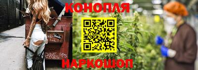 гашик Лесосибирск